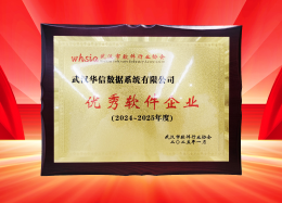 喜讯丨Ebpay创新数据获评2024~2025年度武汉市软件行业“优秀企业”、“优秀工作者”荣誉称号！